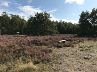 Ontdek de Veluwe